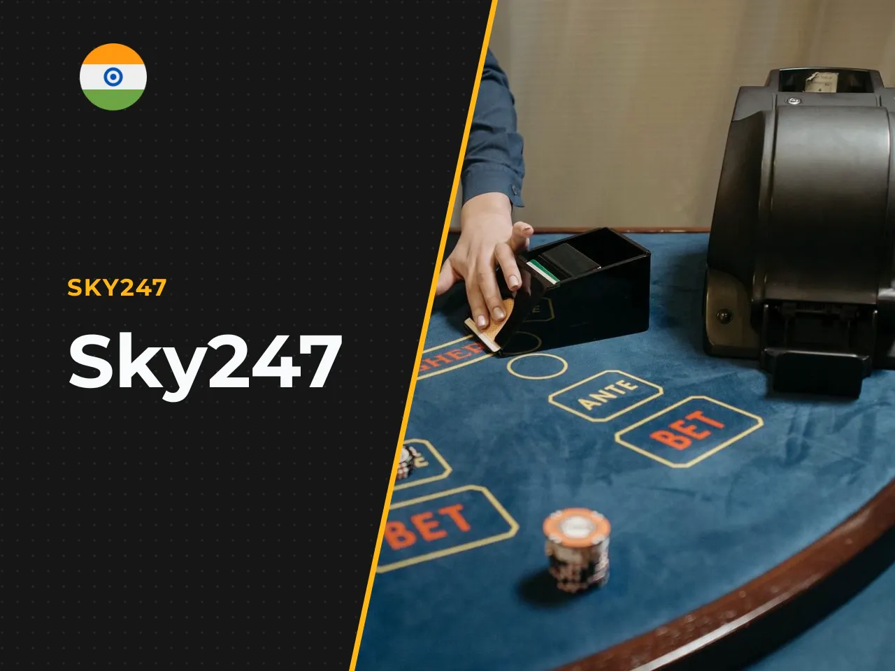 Sky247 heading-banner