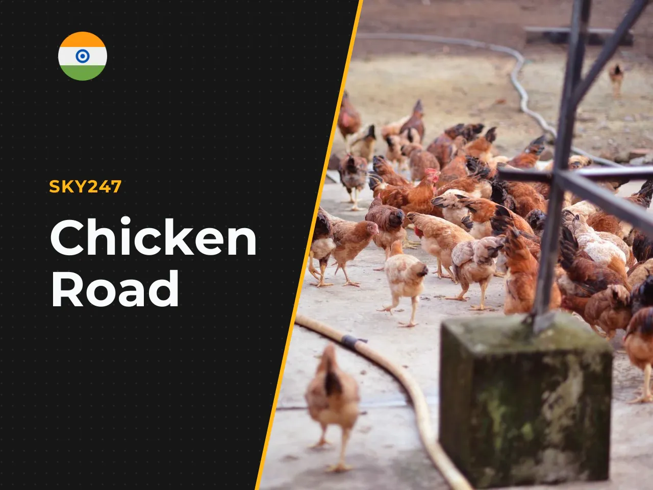 Chicken Road is one of those