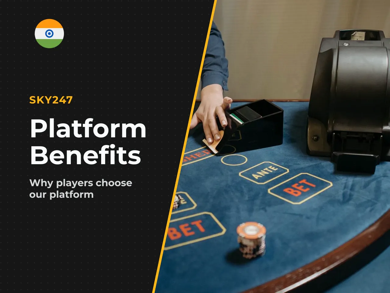 Why Users Choose the Official Sky247